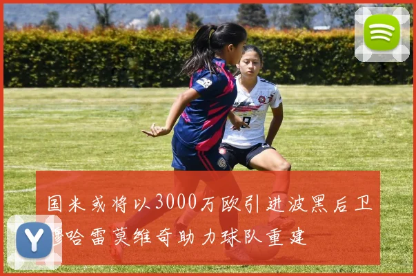 国米或将以3000万欧引进波黑后卫穆哈雷莫维奇助力球队重建